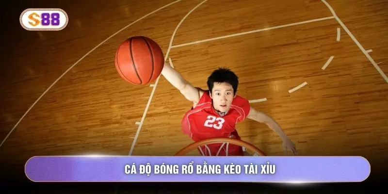 Cá độ bóng rổ bằng kèo tài xỉu
