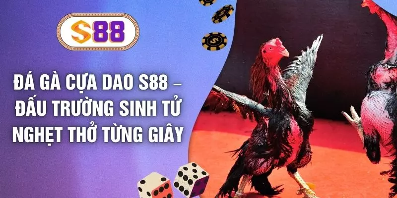 Đá Gà Cựa Dao S88 – Đấu Trường Sinh Tử Nghẹt Thở Từng Giây