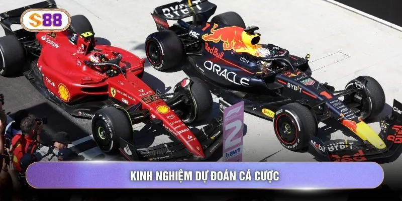 Kinh nghiệm dự đoán cá cược