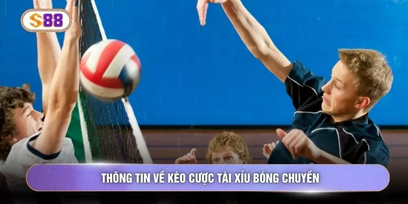 Thông tin về kèo cược tài xỉu bóng chuyền