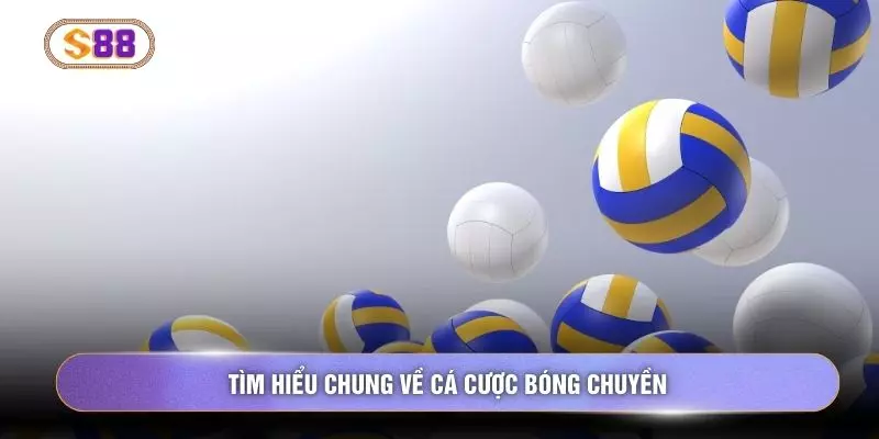 Tìm hiểu chung về cá cược bóng chuyền