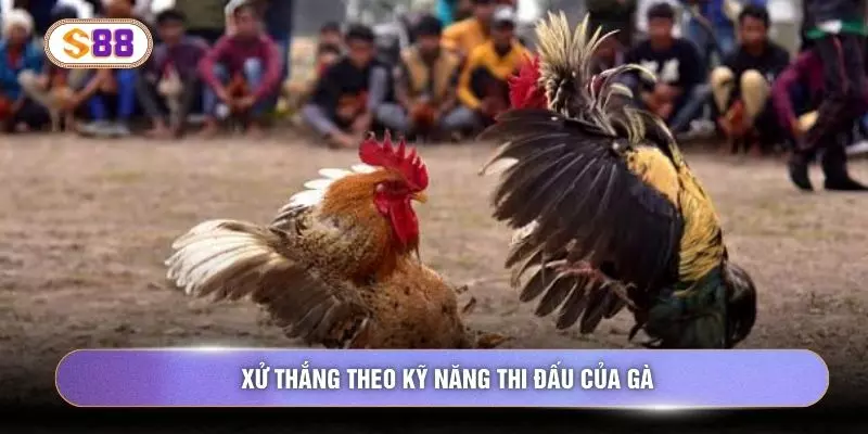 Xử thắng theo kỹ năng thi đấu của gà